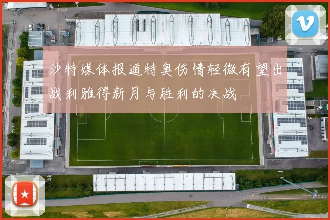 沙特媒体报道特奥伤情轻微有望出战利雅得新月与胜利的决战